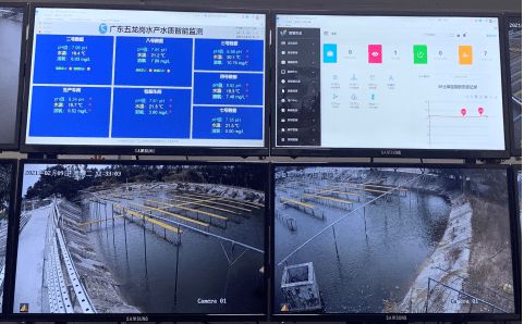 花都區 科技興漁啟新程，人工智能與“芯片魚”引領智慧漁業探索